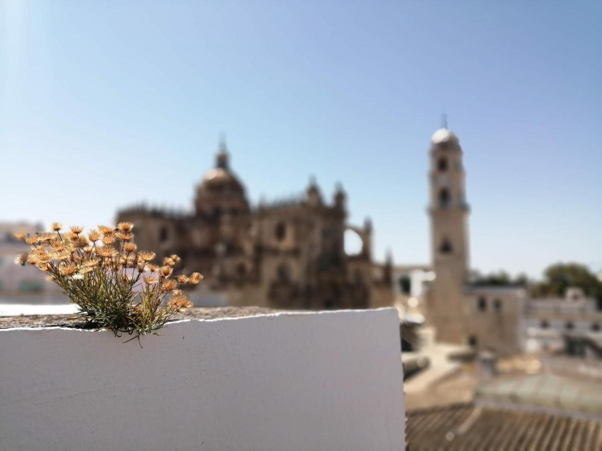 Bellas Artes Catedral Jerez de la Frontera Extérieur photo